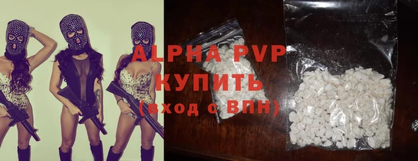 прущие грибы Верхний Тагил