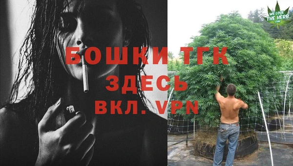 тгк Верея