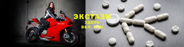 прущие грибы Верхний Тагил
