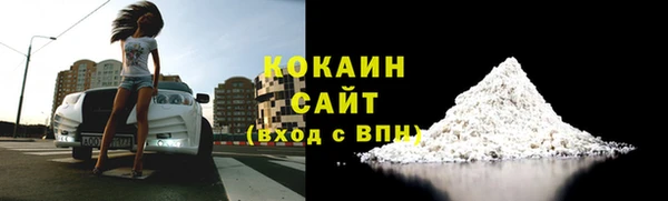 прущие грибы Верхний Тагил
