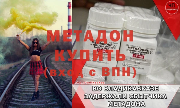 прущие грибы Верхний Тагил
