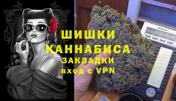 прущие грибы Верхний Тагил