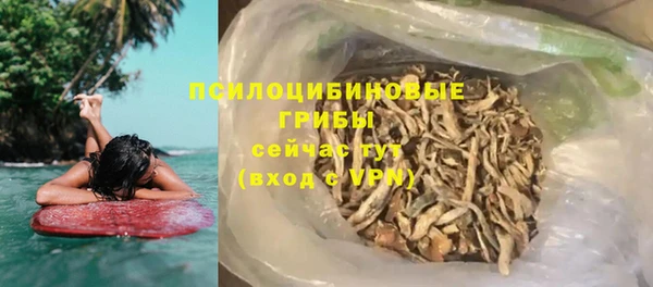 прущие грибы Верхний Тагил