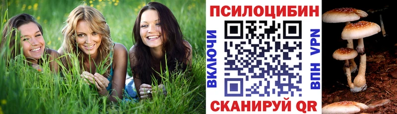 Купить закладки  Будённовск  Галлюциногенные грибы прущие грибы 